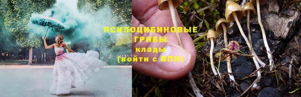 сатива Кукмор