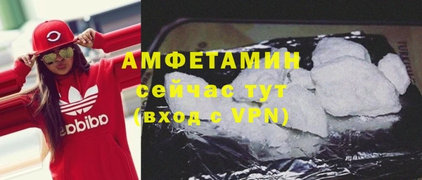 сатива Кукмор