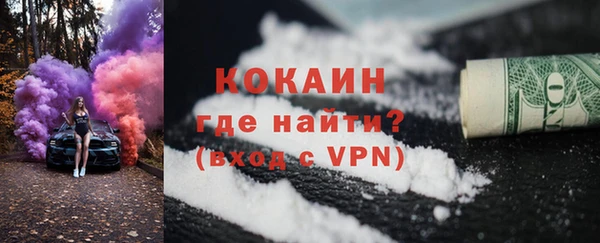 сатива Кукмор