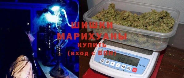 сатива Кукмор